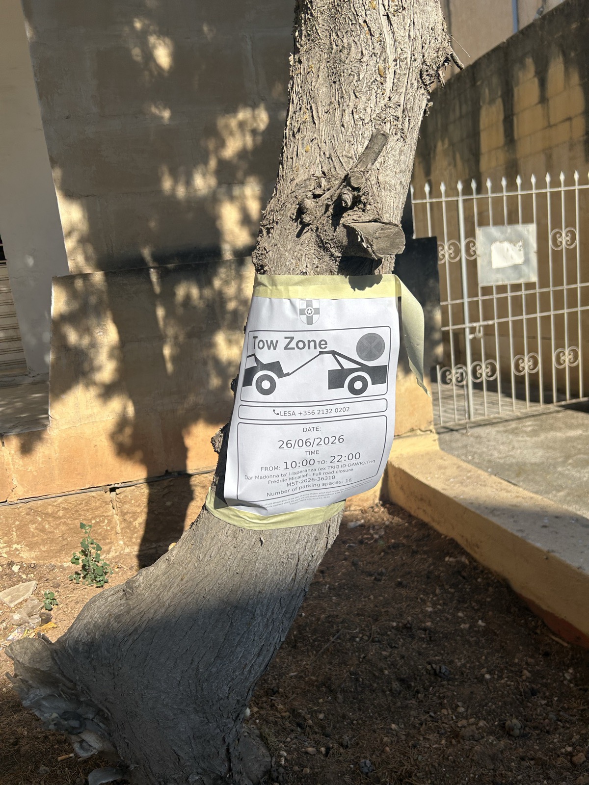 The same tow zone notice taped around a tree trunk, the masking tape already lifting at the edges.