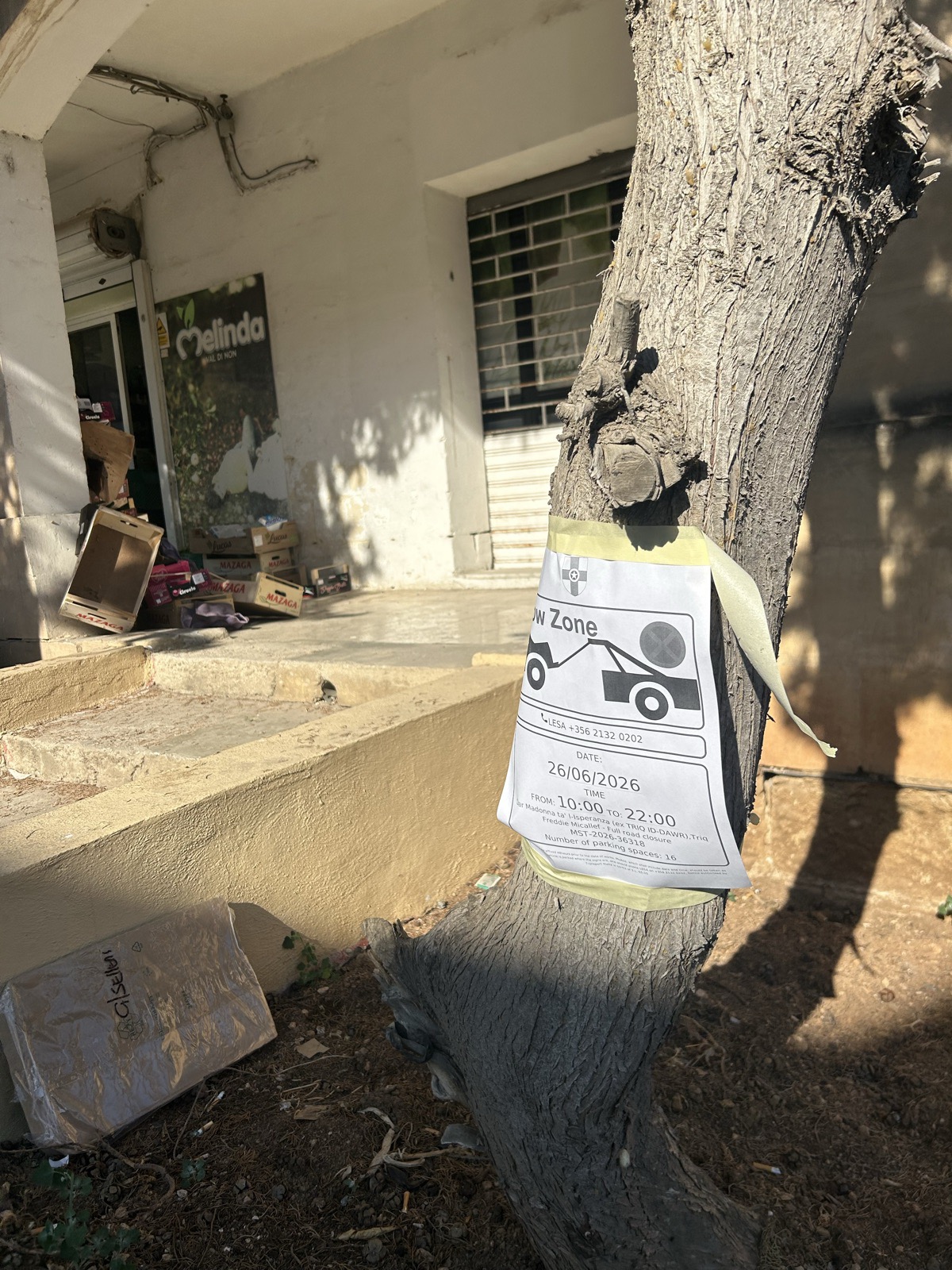 A tow zone notice on a tree with a long strip of masking tape peeling away and hanging loose.